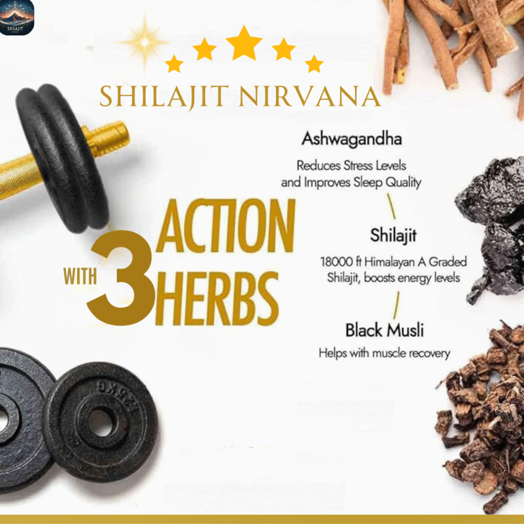 SHILAJIT NIRVANA