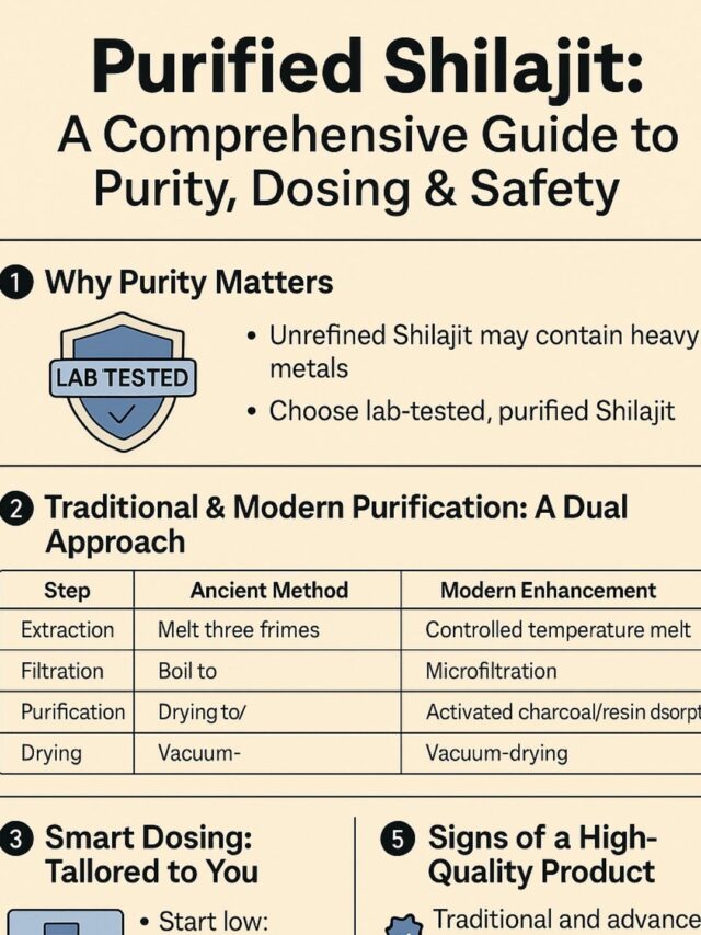 Purified Shilajit: A Comprehensive 7 Steps Guide to Purity, Dosing & Safety