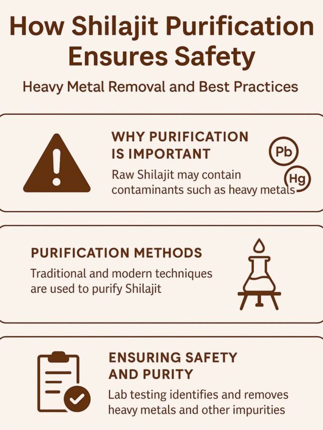 Shilajit Purification Explained in 4 steps